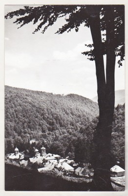 bnk cp Manastirea Suzana - Vedere - necirculata foto