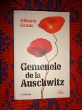 Gemenele de la Auschwitz - Affinity Konar 390 pagini