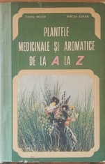 GHIDUL PLANTELOR MEDICINALE DE LA A LA Z - OVIDIU BOJOR
