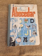Amecedar - 1990 foto