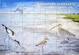 Pasari care se hranesc pe malurile apelor