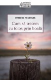 Cumpara ieftin Cum să trecem cu folos prin boală - Paperback brosat - Dmitry Semenik - Sophia
