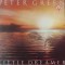 Peter Green &ndash; Little Dreamer, LP, Scandinavia, 1980, stare VG