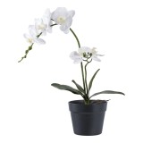 Cumpara ieftin Orchidea műn&ouml;v&eacute;ny, z&ouml;ld/feh&eacute;r 49 cm