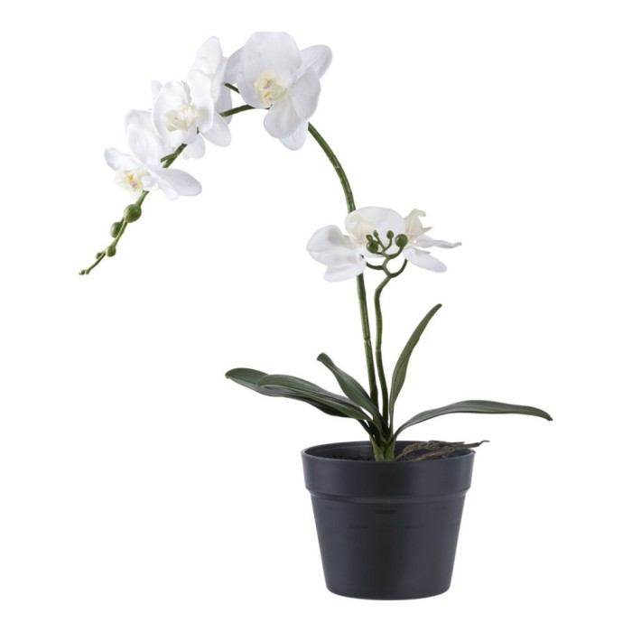 Orchidea műn&ouml;v&eacute;ny, z&ouml;ld/feh&eacute;r 49 cm