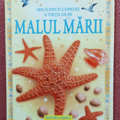 Mica enciclopedie a vietii de pe malul marii - Editura Aquila, 2008