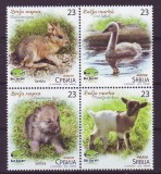 SERBIA 2018 FAUNA PUI DE ANIMALE SALBATICE