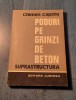 Poduri pe grinzi de beton suprastructura Chimon Capatu