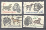 Czechoslovakia 1973 Dogs, used G.319