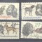 Czechoslovakia 1973 Dogs, used G.319
