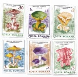 Romania - Ciuperci comestibile, 1986, serie neobliterata