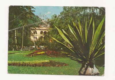 CA6 Carte Postala - Baile Herculane , Parcul , circulata 1972 foto