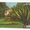 CA6 Carte Postala - Baile Herculane , Parcul , circulata 1972