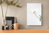 Tablou Canvas Floral Alb - Decorție Murală Modernă și Elegantă, 26 x 39 cm, CMCLASS