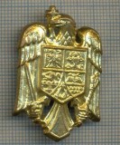 Y 1543 INSIGNA-MILITARA -EMBLEMA COIFURA -PENTRU COLECTIONARI