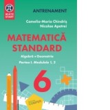 Matematica standard pentru clasa a VI-a. Algebra, geometrie. Partea I. Modulele 1,2