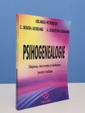 Psihogenealogie - Diagnoza, interventia si vindecarea istoriei familiale de Iolanda Mitrofan si Godeanu