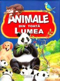 Animale din toata lumea - Flamingo GD