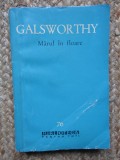John Galsworthy - Mărul &icirc;n floare