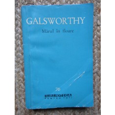 John Galsworthy - Mărul &icirc;n floare