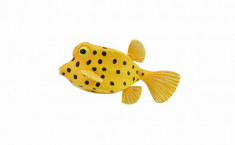 Peste Cubicus Boxfish S - Animal figurina foto