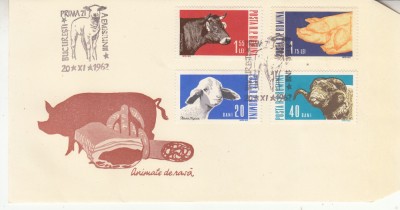 C12 - FDC Romania - Animale de rasa - LP552 - 1962 foto