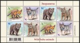 BELARUS 2020 FAUNA PUI DE ANIMALE SALBATICE URSI LUPI VULPI RASI, Nestampilat