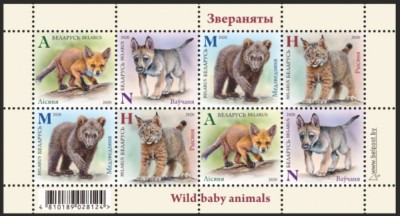 BELARUS 2020 FAUNA PUI DE ANIMALE SALBATICE URSI LUPI VULPI RASI foto