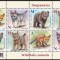 BELARUS 2020 FAUNA PUI DE ANIMALE SALBATICE URSI LUPI VULPI RASI