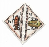 Republica Centrafricana - Animale - Fauna salbatica - Insecte, 1962 - Ceroplesis, Cetoine, neobliterate