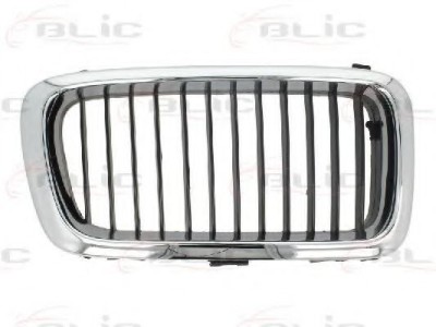 Grila radiator BMW Seria 7 (E38) (1994 - 2001) BLIC 6502-07-0075992P foto