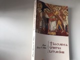 Cumpara ieftin PR. ILARION FELEA, TALCUIREA SFINTEI LITURGHII