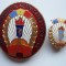 ROMANIA -INSIGNA Merite Deosebite in Activitatea Sportiva + INSIGNA UCFS, IM1.40