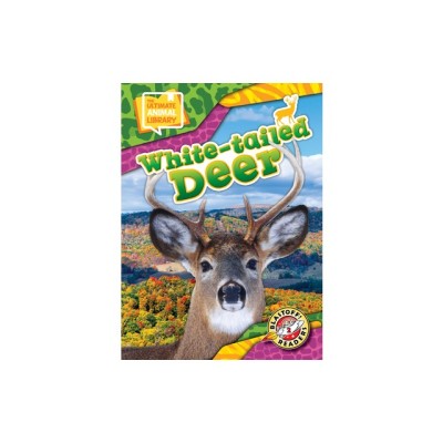 White-Tailed Deer foto