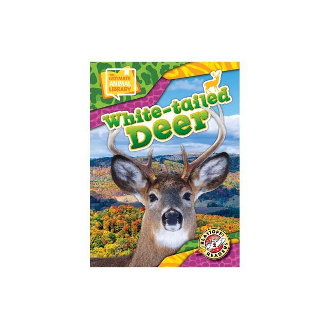 White-Tailed Deer