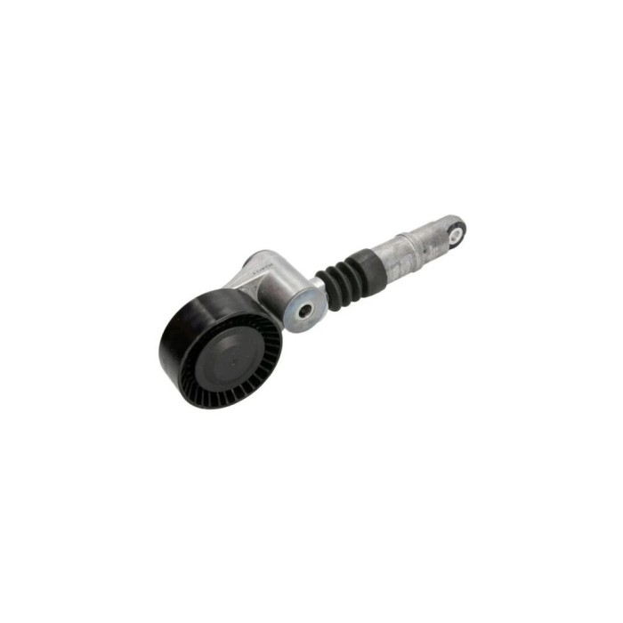 Intinzator curea MERCEDES-BENZ SPRINTER 3-t platou sasiu 906 DAYCO APV2554