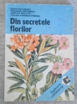 DIN SECRETELE FLORILOR-DAVID DAVIDESCU, VELICICA DAVIDESCU-258698 foto