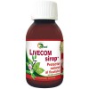 LIVECOM SIROP 100ML