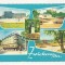 SG8 - Carte Postala - Germania, Zwickau , Circulata 1962