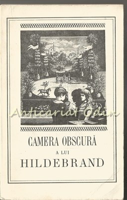 Camera Obscura - Hildebrand foto
