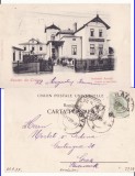 Craiova - Institutul Arnold - clasica , rara, Circulata, Printata