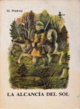 La Alcancia Del Sol