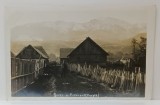 BORSA , VEDERE DIN LOCALITATE SPRE VARFUL PIETROSU , FOTOGRAFIE FORMAT CARTE POSTALA , INTERBELICA