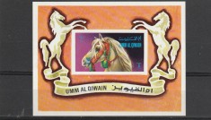 Fauna ,cai ,Qiwain. foto