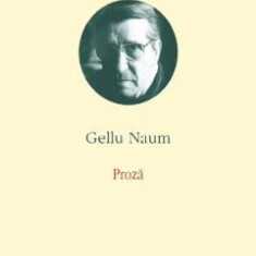 Opere II: Proza - Gellu Naum