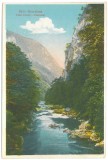 1180 - Baile HERCULANE, Cerna river, Romania - old postcard - unused - 1924, Necirculata, Printata