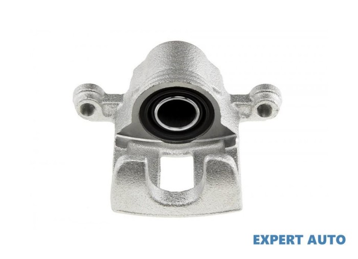 Etrier spate Nissan X-Trail (2007-2014)[T31] #1