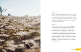 Live Lagom | Anna Brones