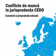 Conflicte de munca in jurisprudenta CEDO | Razvan Anghel