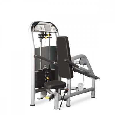 Aparat presa triceps SPORTMANN F1-5013 FitLine Training foto